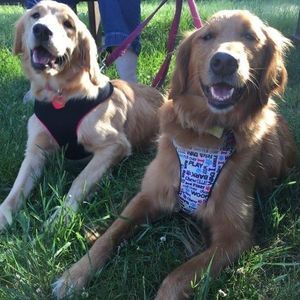 Meet your Posher, Kim